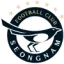 Seongnam logo
