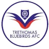 Trethomas Bluebirds logo