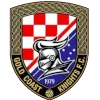 Gold Coast Knights U23 logo