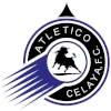 Club Celaya logo