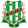 Wisloka Debica logo