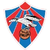 Valur logo