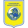 Canterbury Bankstown U20 logo