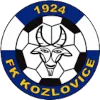 Kozlovice logo