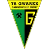 TS Gwarek Tarnowskie Gory logo