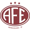 Associacao Ferroviaria de Esportes U20 logo