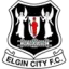 Elgin City logo