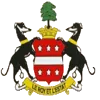 Needham Market logo