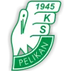 Pelikan Lowicz logo