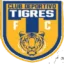 Tigres logo