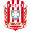 CWKS Resovia Rzeszow logo