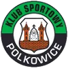 Gornik Polkowice logo