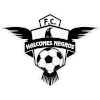 Halcones Negros logo