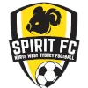 Spirit U20 logo