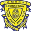 Basingstoke Town logo