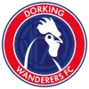 Dorking Wanderers logo