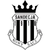 Sandecja Nowy Sacz logo