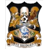 Three Bridges logo