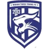 Wuhan Three Towns logo