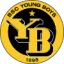 Young Boys II logo