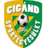 Cigand logo