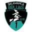 Brujas de Salamanca logo