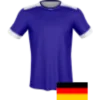 Erzgebirge Aue logo