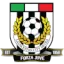 Launceston City logo