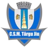 CSM Targu Jiu logo