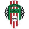 Viktoria Zizkov logo
