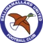 Ballinamallard United logo