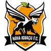 Nova Iguacu logo