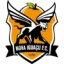 Nova Iguacu logo
