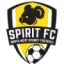 NWS Spirit logo