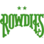 Tampa Bay Rowdies logo