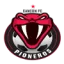 Pioneros de Cancun logo