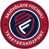 OZD-Sayovolgi logo