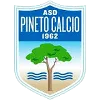 A.S.D. Pineto Calcio logo