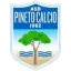 A.S.D. Pineto Calcio logo