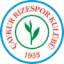 Caykur Rizespor logo
