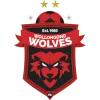 Wollongong Wolves U20 logo