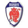 Bromsgrove logo