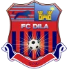 Dila Gori logo