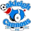 Oakleigh Cannons U23 logo