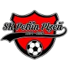 Petrin Plzen logo