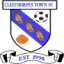 Cleethorpes Town logo
