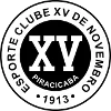 XV Piracicaba U20 logo