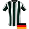 HSC Hannover logo