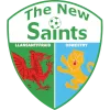 The New Saints logo