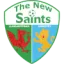 The New Saints logo